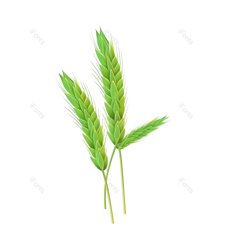 装饰图片,芒种元素,元素PNG,麦子免抠素材